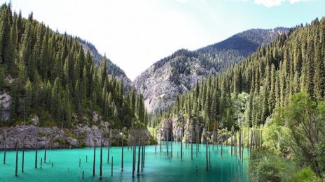 Потъналата гора в Казахстан