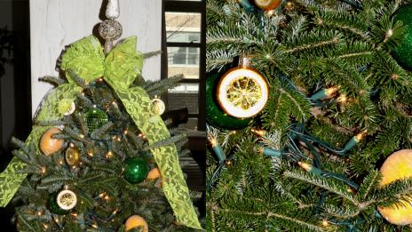 Бионсе се премени като секси еленче