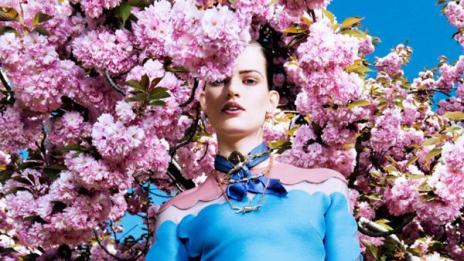 В разгара на черешовия сезон