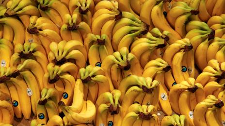 Храни, които не трябва да ядете на гладно