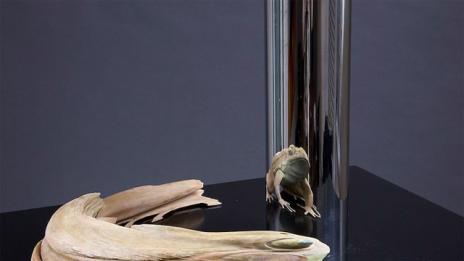 Геометрични оптични илюзии