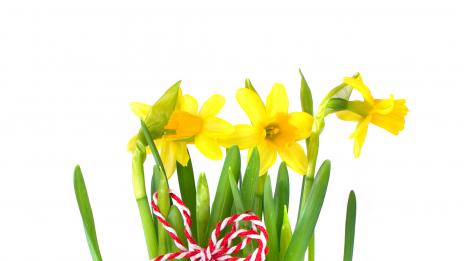 Честита Баба Марта!