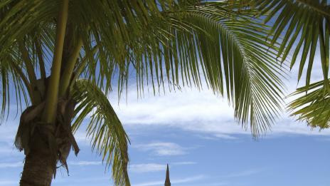 Интересни факти за Филипините – част втора