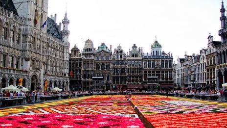 Цветен килим, но за гледане