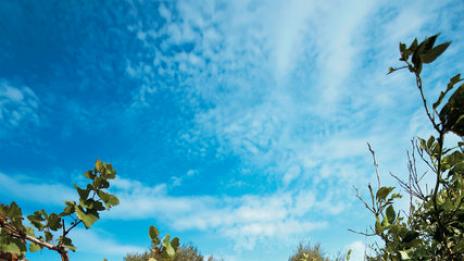 Тайните на столетниците