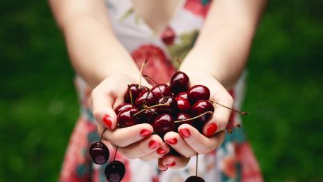 Череши – скъпи, но полезни!