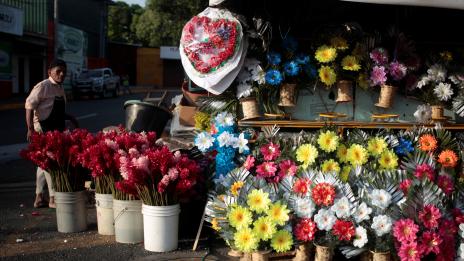 Кои растения ще ви помогнат да спите като бебе