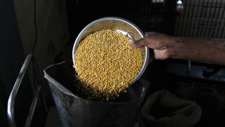 Диета с боб, грах и леща, за вегетарианци