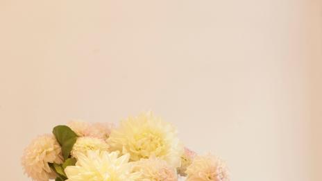 Козметична линия за есента