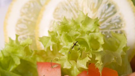 Сочни скариди с авокадо