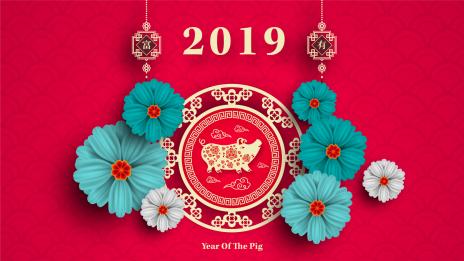 Годината на Жълтата Земна Свиня: Маймуна