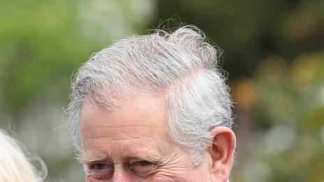 Ромско семейство обидено на принц Чарлз