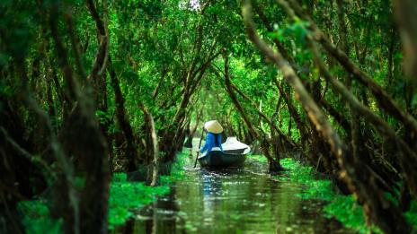 Защо си заслужава да посетите Виетнам