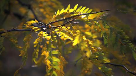 Хороскопът ви за 2 ноември