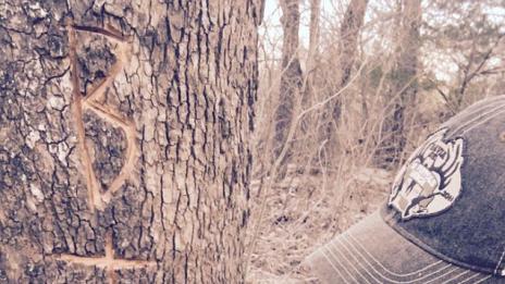 Г+Б=ВНЛ. Гуен и Блейк като тийнейджъри, дълбаят в дърво