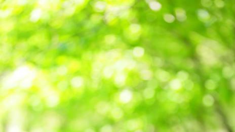 Нещата, за които не искате да съжалявате, когато остареете