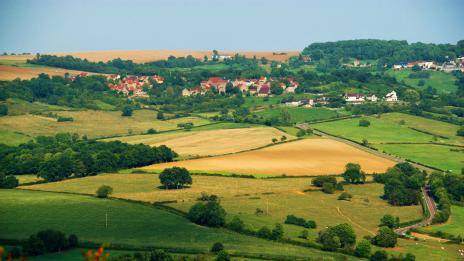 Бургундско червено, бургундско зелено....