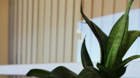 Днес пробвам: Bioten CC cream