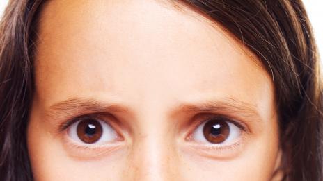 Динената диета – теория и практика