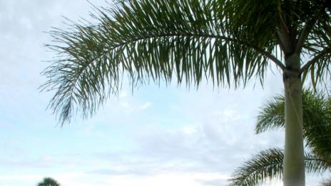 Като пощенска картичка