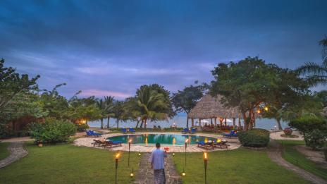 Мястото, където можете да плувате с акули