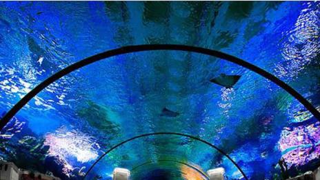 На подводен тенис в Дубай