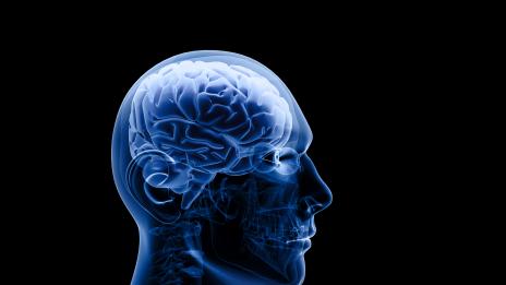 Странните неща, които убиват паметта ви