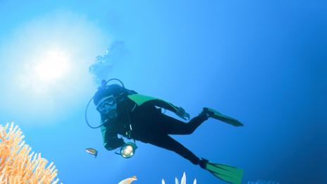 Подводното гмуркане – супер начин да тренирате тялото си