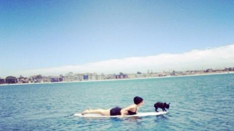 Лейди Гага сърфира с кучето си