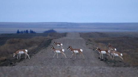 Уилоу Крик – граничният пункт между САЩ и Канада