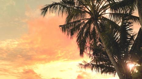 В сърцето на Големия бариерен риф