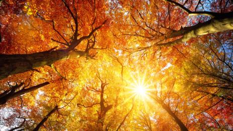 Хороскопът ви за 13 октомври