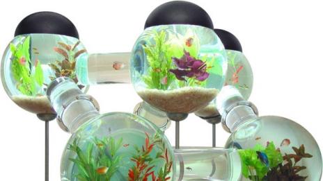 Страхотни аквариуми с изумителен дизайн