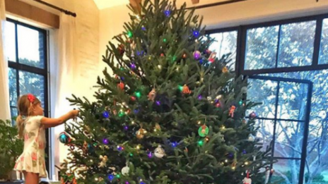 Как изглеждат коледните елхи на звездите?