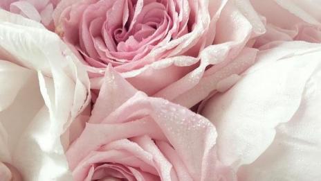 Маникюр от бъдещето: Лога