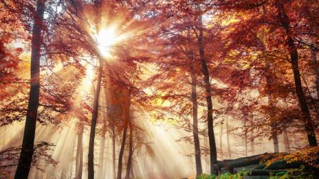 Хороскопът ви за 21 септември