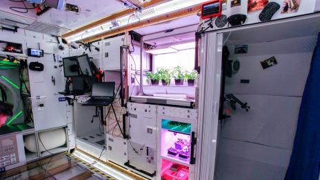 НАСА дава 18 500 долара. Изискването – да спите 2 месеца