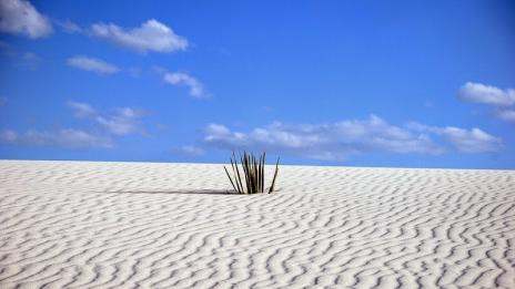Белите пясъци на Ню Мексико