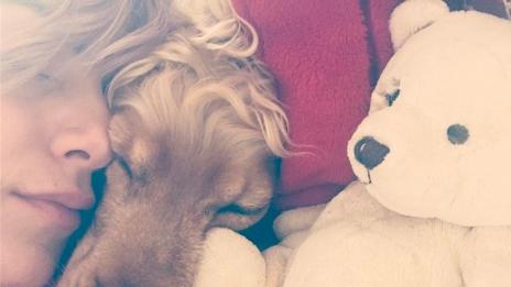 Поли Генова се бори за домашния си любимец, отровиха го