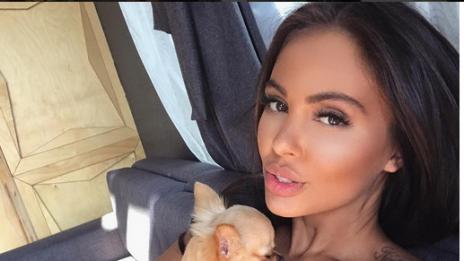 Чар или бедствие: Куче на гръдта на Николета