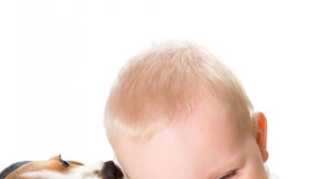 Как да запознаете кучето с вашето бебе