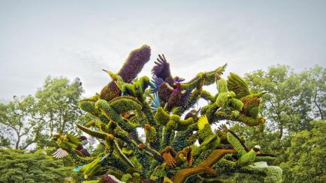 Хем живо, хем не диша