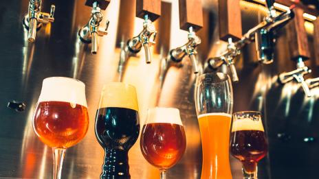 Бирата – толкова здравословна, колкото и виното