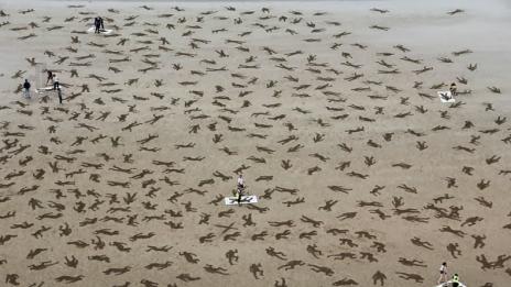 В чест на „падналите“