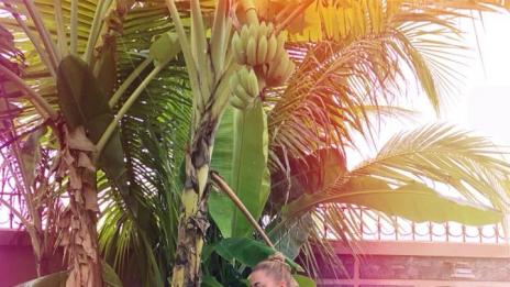 Пълен релакс за Ваня и Жени Джаферович в Камбоджа