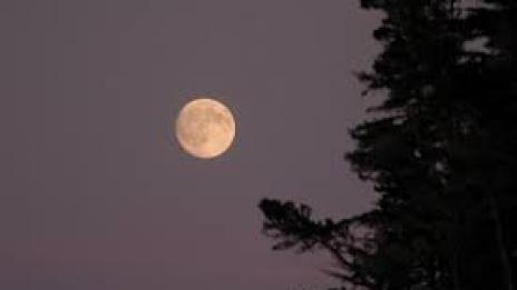 Какво разкрива за вас лунния ви знак?