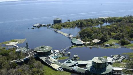 В сърцето на Амазонка