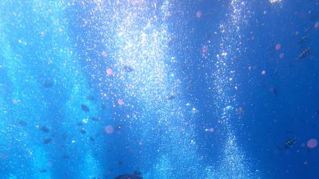 Гръцки остров предлага пари на всеки нов жител