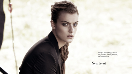 Нежната страна на пънка