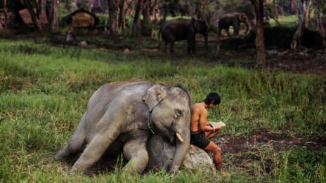 Уловени парченца вечност